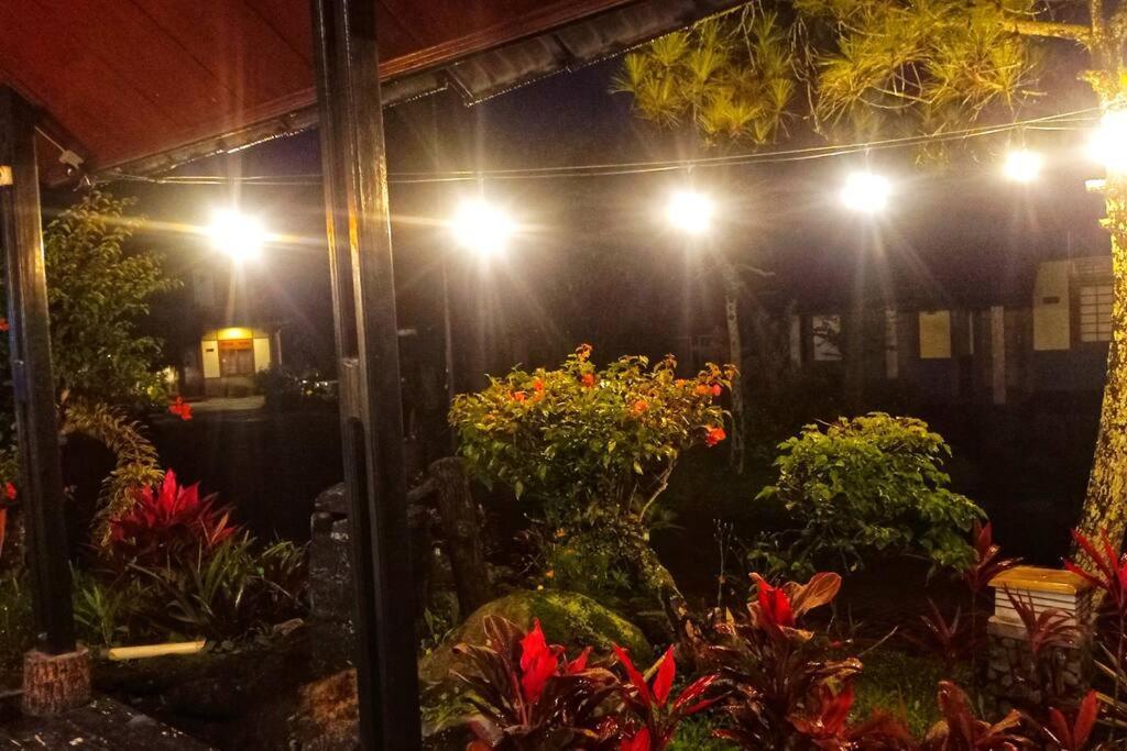 Designer Villa Tokyo Cianjur Dış mekan fotoğraf
