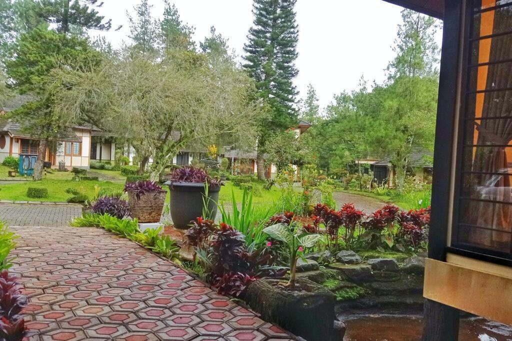 Designer Villa Tokyo Cianjur Dış mekan fotoğraf