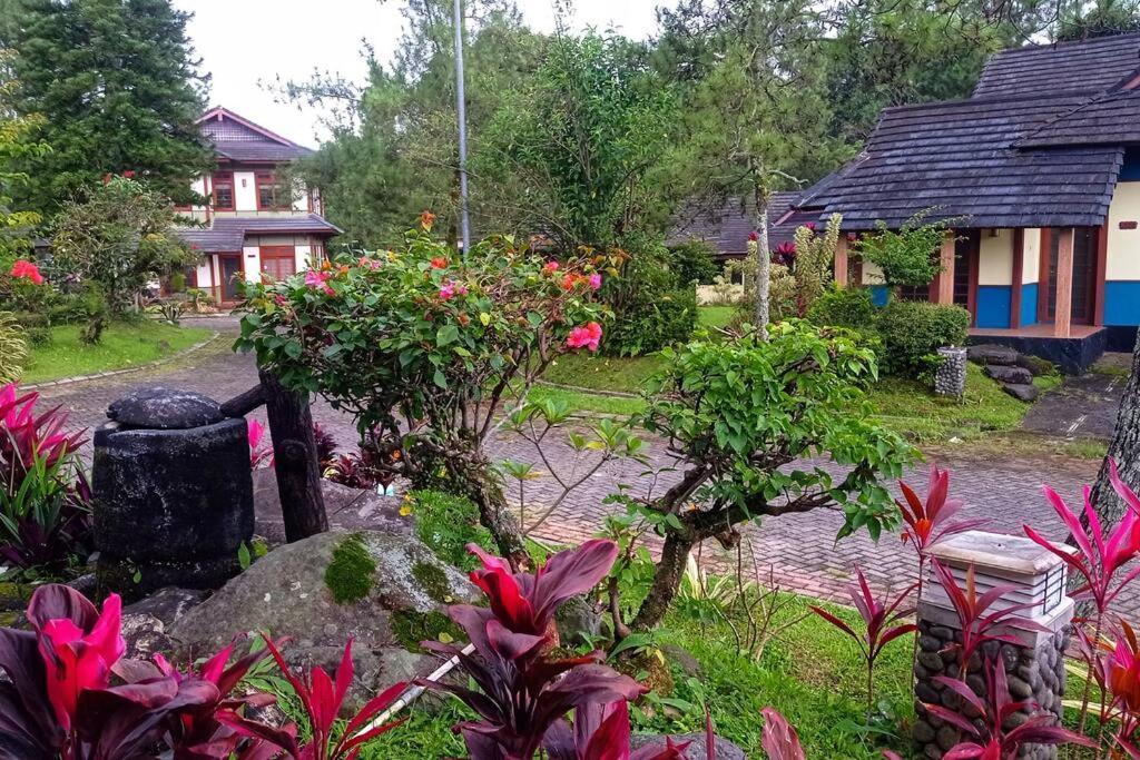 Designer Villa Tokyo Cianjur Dış mekan fotoğraf