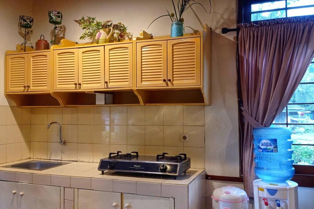 Designer Villa Tokyo Cianjur Dış mekan fotoğraf